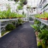 Greenhouse flooring provides drainage thumbnail