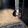 Portable Horse Stall Mats in Trailer customer photo.