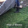 Ground protection mats on grass thumbnail
