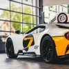 RaceDeck Oak Garage Floor Tiles 1/2 Inch x 18x18 Inches ford gt race car