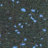 Rubber Flooring Rolls 8 mm 10% Color Geneva Blue Texture