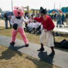 3/8 inch Roll Rubber Flooring fencing pig.