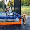 outdoor flooring tiles over grass used for play area