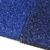 Gym Turf Florida Blue vs Navy Blue