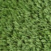 Greatmats Platinum Landscape Turf 2 Inch x 15 Ft. Wide Per LF Field Apple Top