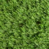 Greatmats Standard Landscape Turf 1-1/2 Inch x 15 Ft. Wide Per LF Top View