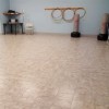 TileFlex Floor Tile exercise room in beige