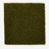 EZ-Putt 2 Artificial Grass Turf 1/2 Inch x 15 Ft. Wide per SF Top view