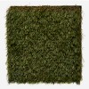 Simply Natural Tall Artificial Grass Turf 2 Inch x 15 Ft. Wide per SF top close up