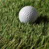 Ultimate Natural Putting Fringe Turf