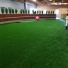 indoor artificial gym turf thumbnail