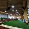 V-Max Turf in Physical Therapy Center