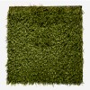 ZeroLawn Classic Artificial Grass Turf 1-1/2 Inch x 15 Ft. Wide per SF top close up