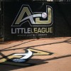 Little league field with Black BackStop Folding Pad 2 Inch x 4x10 Ft. with logo