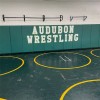 Safety Wall Pad 2x7 Ft x 2 Inch WB Z-Clip ASTM Audubon Wrestling Gym with Green Wall Pads