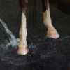 Rubber Equine Wash Stall Mats thumbnail