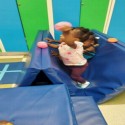 Gym Mats 2 Inch x 4x8 Ft. V4 18 oz customer review photo 1