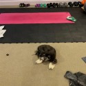 Staylock tiles in basement gym