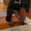 tile installation in basement