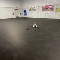 rolled rubber for dog training