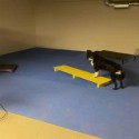 dog agility mats in basement