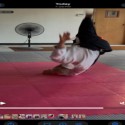 mma puzzle mats