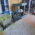 rabbit enclosure with interlocking carpet tiles