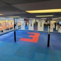 pro taekwondo mats for mma