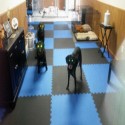 Pro Taekwondo Martial Arts Mats 20 mm x 1x1 Meter customer review photo 2