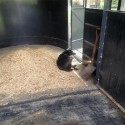 Portable Horse Stall Mats 3/4 Inch x 2x2 Ft. customer review photo 1