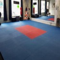 Pro Taekwondo Martial Arts Mats 20 mm x 1x1 Meter customer review photo 1