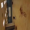 Rubber Floor Underlayment 3 mm x 4x50 Ft. Roll customer review photo 1