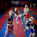 Martial Arts Karate Mat Premium 1 Inch x 1x1 Meter customer review photo 2
