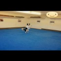 Dog Agility Mats Interlocking Tiles 3/4 Inch x 1x1 Meter customer review photo 2