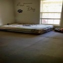 Home Sport and Play Mat 3/4 Inch x 2x2 Ft. customer review photo 1