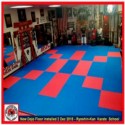 Pro Taekwondo Martial Arts Mats 20 mm x 1x1 Meter customer review photo 1