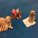 Dog Agility Mats Interlocking Tiles 3/4 Inch x 1x1 Meter customer review photo 1