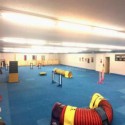 Dog Agility Mats Interlocking Tiles 3/4 Inch x 1x1 Meter customer review photo 1