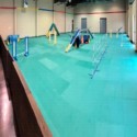 Dog Agility Mats Interlocking Tiles 3/4 Inch x 1x1 Meter customer review photo 1