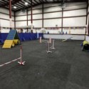 Dog Agility Mats Interlocking Tiles 3/4 Inch x 1x1 Meter customer review photo 1