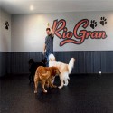 Rubber Flooring Roll Geneva 3/8 Inch 10% Color Per SF customer review photo 2
