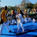 Martial Arts Karate Mat Premium 1 Inch x 1x1 Meter customer review photo 2