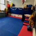 Pro Taekwondo Martial Arts Mats 20 mm x 1x1 Meter customer review photo 1