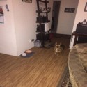 Wood Grain Foam Tiles Reversible 1/2 Inch x 2x2 Ft. customer review photo 1