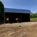 Horse Stall Interlocking Center Mat 3/4 Inch x 4x6 Ft. customer review photo 3