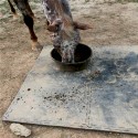 Portable Horse Stall Mats 3/4 Inch x 2x2 Ft. customer review photo 1