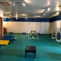 Dog Agility Mats Interlocking Tiles 3/4 Inch x 1x1 Meter customer review photo 1