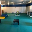 Dog Agility Mats Interlocking Tiles 3/4 Inch x 1x1 Meter customer review photo 2
