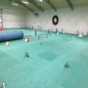 Dog Agility Mats Interlocking Tiles 3/4 Inch x 1x1 Meter customer review photo 1
