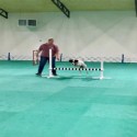 Dog Agility Mats Interlocking Tiles 3/4 Inch x 1x1 Meter customer review photo 2